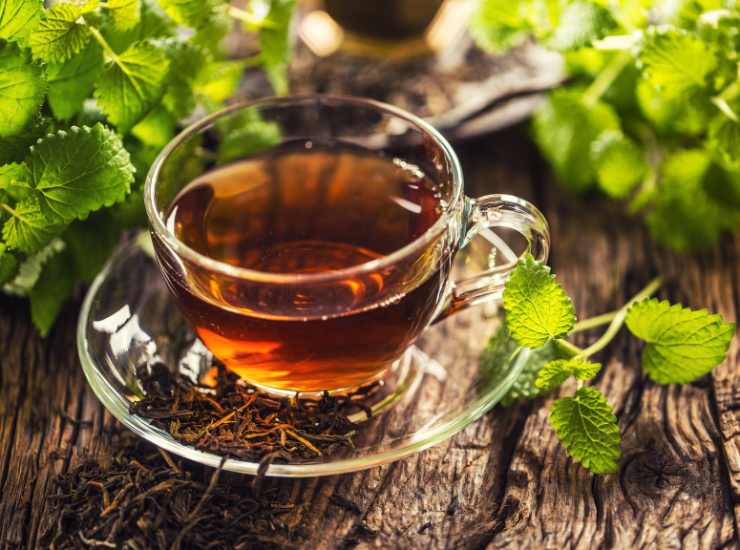 Benefici de tè verde - Fonte AdobeStock