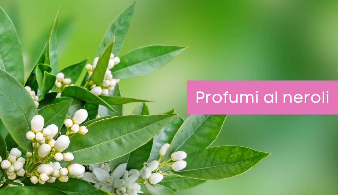 profumi al neroli