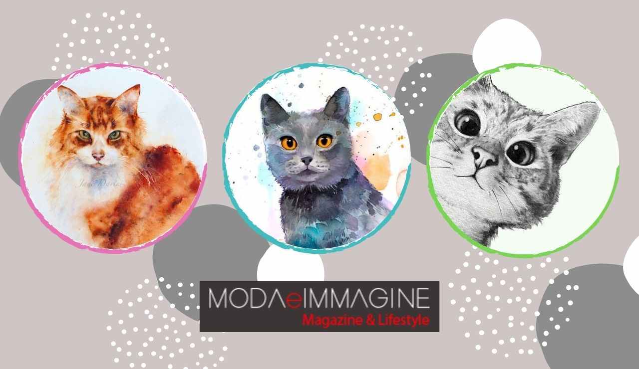test gatto - modaeimmagine.it