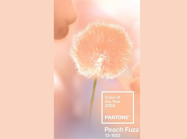 Peach Fuzz Pantone 2024 