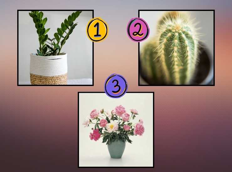 test piante fiori - modaeimmagine.it
